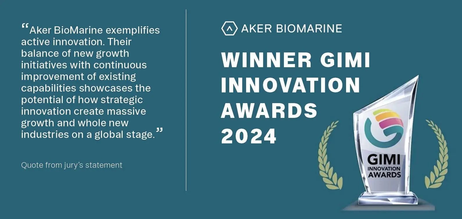 GIMI innovation awards