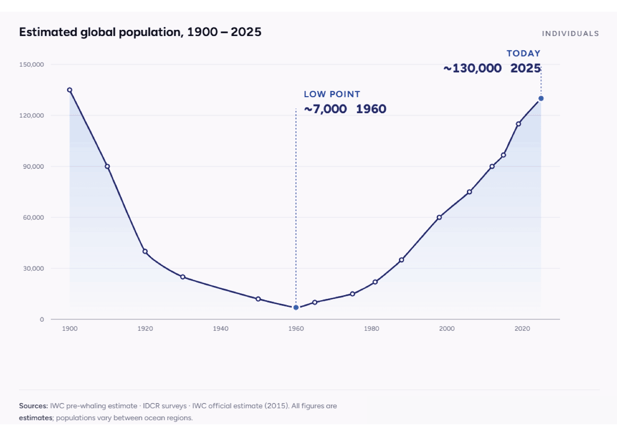 Stor_WhalePopulation_kutta