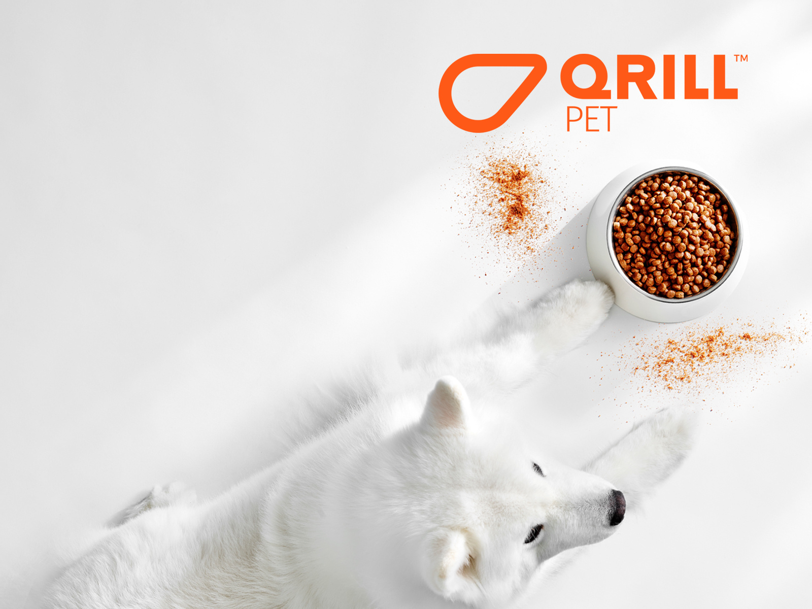 PET_1600X1200_ALT2