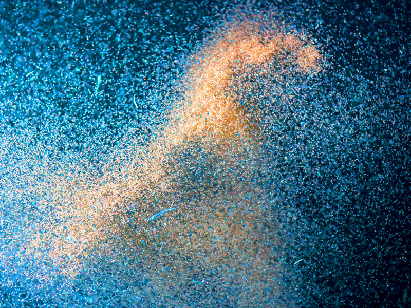 SWARM2_800X600