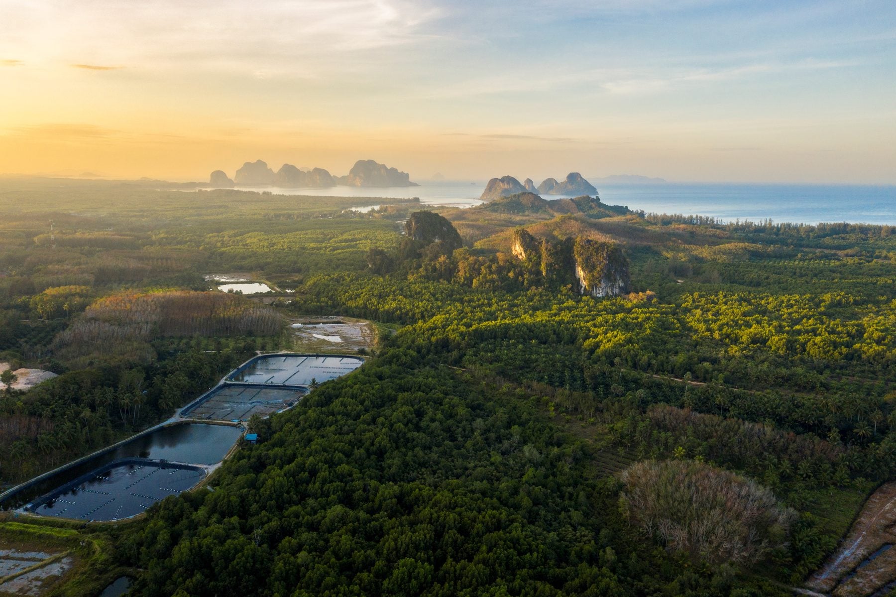 Aerial view of aquaculture ponds beside coastal forest at sunrise